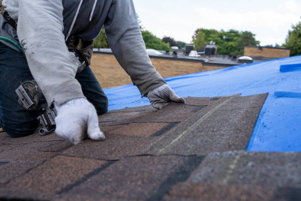 Best Storm Damage Roof Repair  in Warrensburg, MO